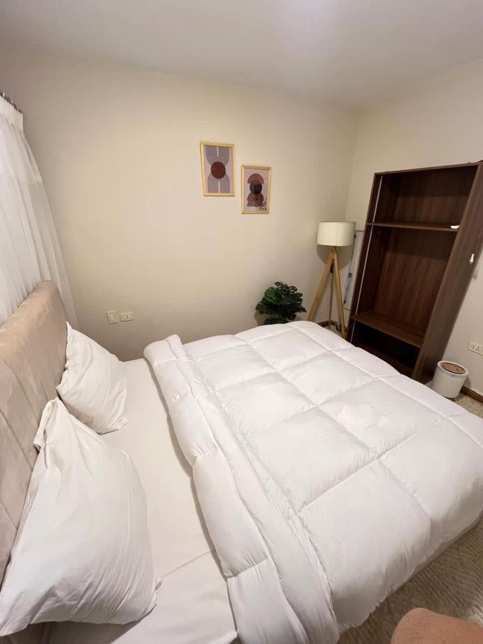 Apartment Zamalek Beside Hilton 4br Cairo